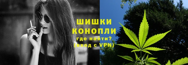 PSILOCYBIN Балахна