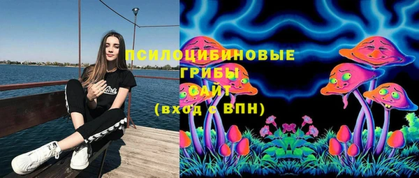 PSILOCYBIN Балахна