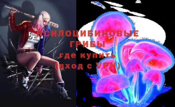 PSILOCYBIN Балахна