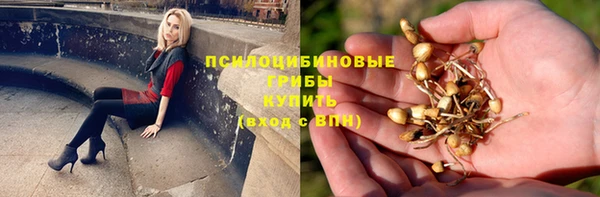 прущие крисы Армянск