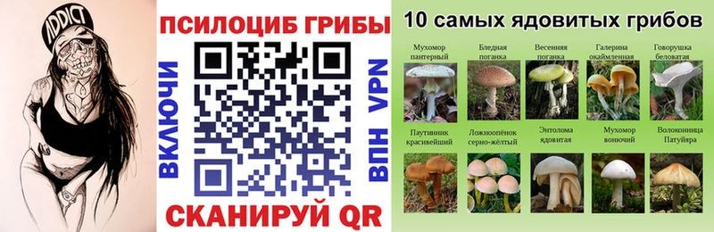 сайты даркнета какой сайт  Тулун  Галлюциногенные грибы мухоморы 