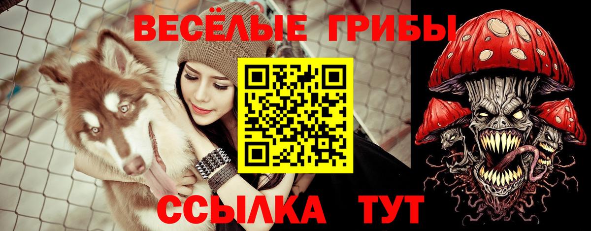 Галлюциногенные грибы MAGIC MUSHROOMS Тулун