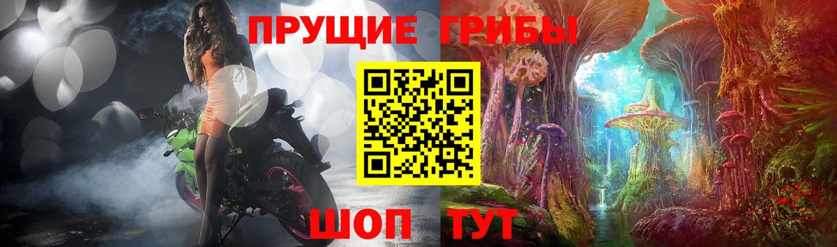 APVP Тулун