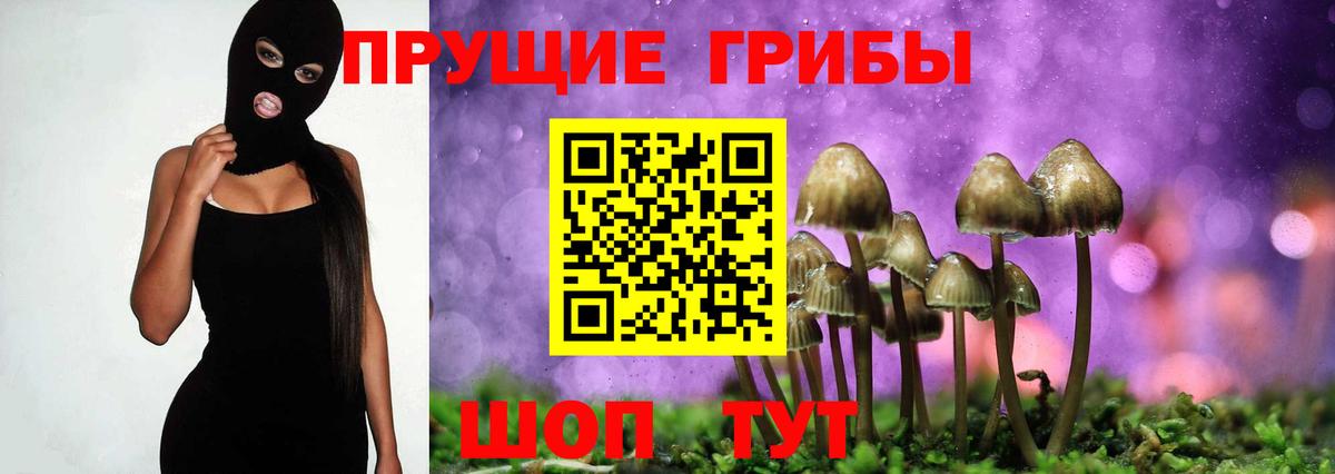 Тулун  Псилоцибиновые грибы Psilocybe  Вход с VPN  Галлюциногенные грибы Cubensis 